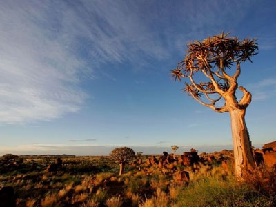 Vacances Minivan Afrique du sud