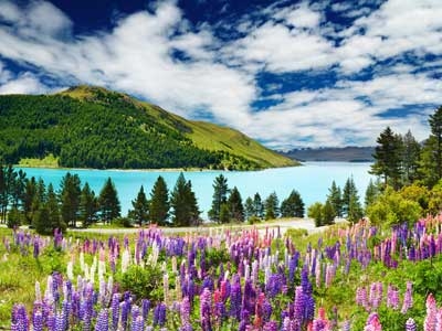 Location Camping-car Nouvelle-Zelande