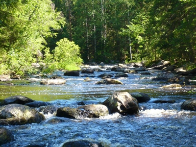 Location Camping-car Finlande