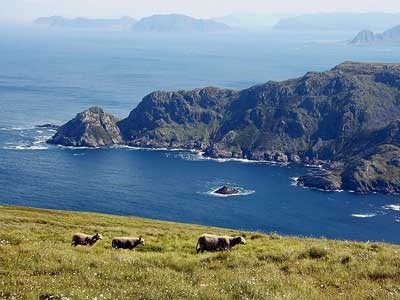 Location low cost Camping-car Norvege